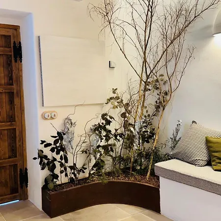 Mondejar 14 Coliving Centro Konukevi Estepona